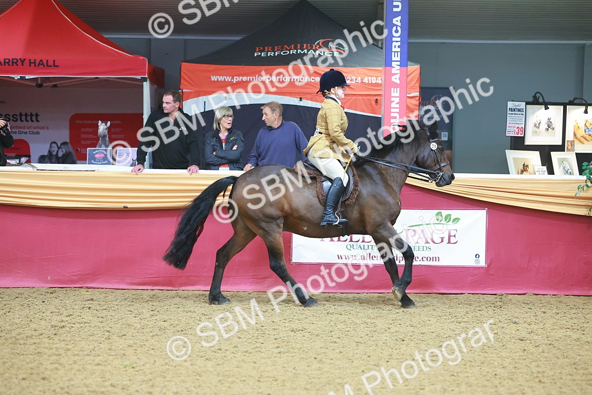SBM_09635 - Class 102 - HOYS Veteran Qualifier - Ridden Veteran