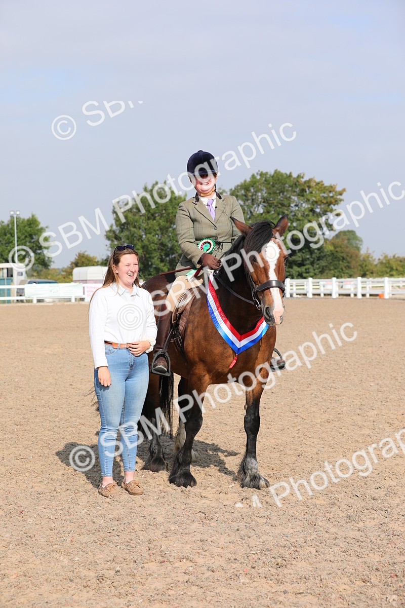 SBM_10941 - Class 304 Ridden Part Bred Horse/Pony