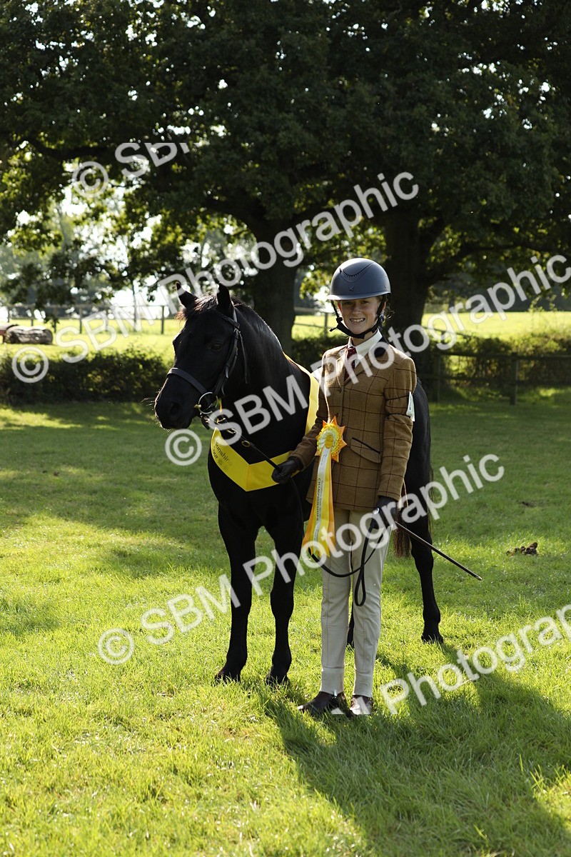 SBM_61057 - S44 - Part Bred Pony In hand