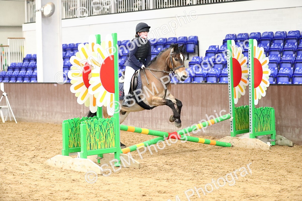 SBM_001248 - Class 3 - 50cm