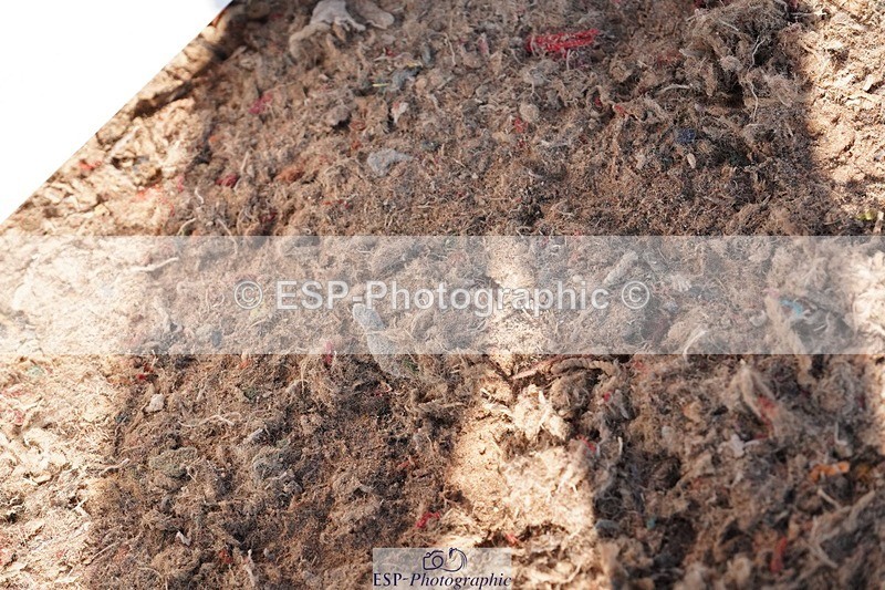 250510-082910-09538 - Cls 13 Snr Foxhunter