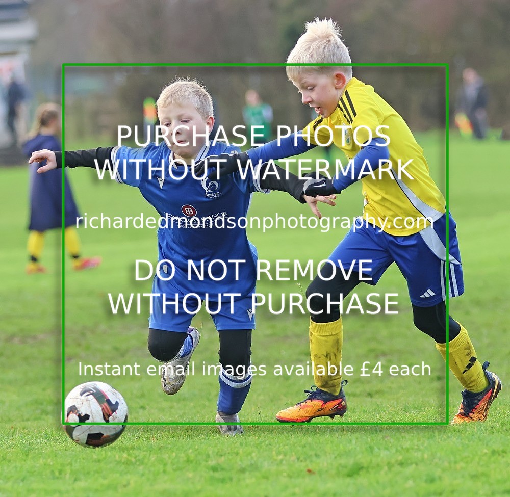 533A6225 - Ibis Under 8's (29/11/25)