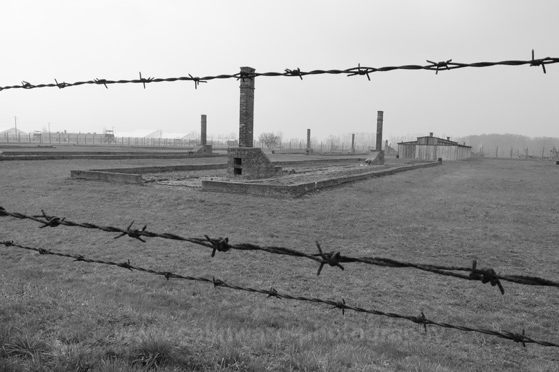Black and White image of Auschwitz II-Birkenau barbed wire fence - Europe