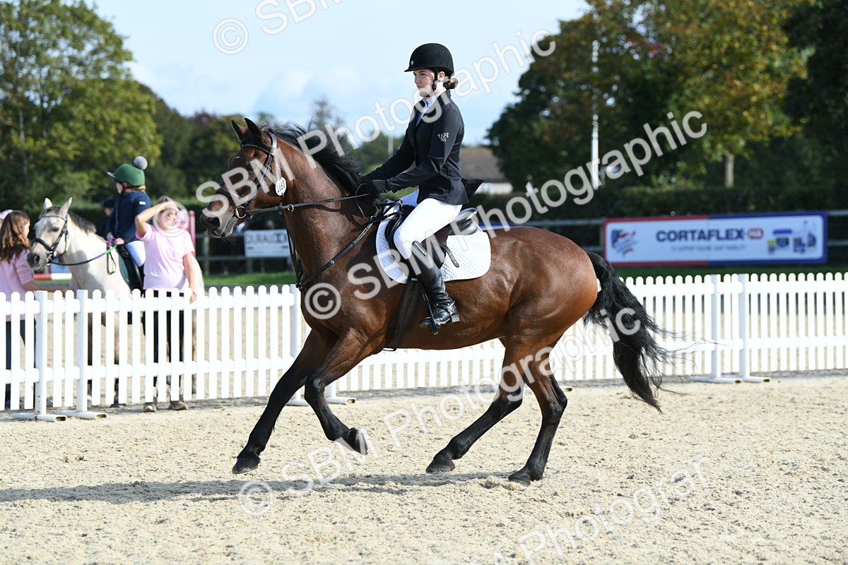 SBM_61564 - j25 - Junior Horse 80cm Championship