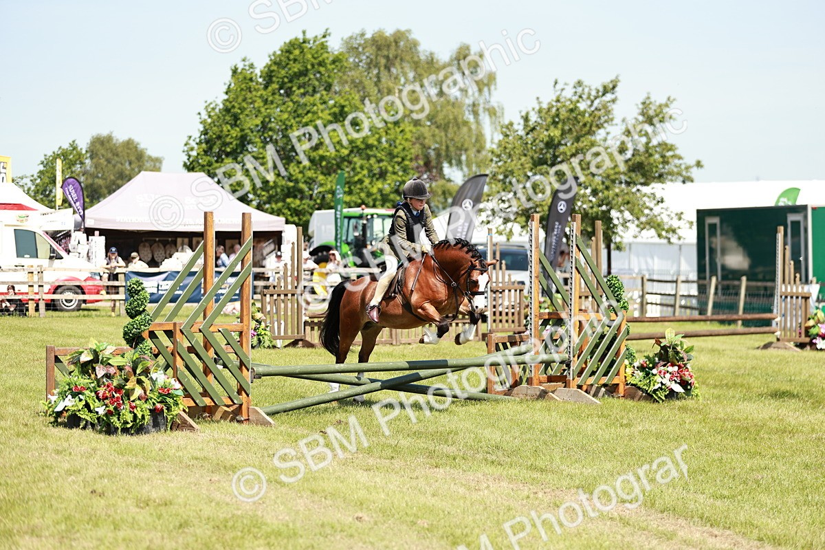 SBM_13552 - Class 108-109 - BSPS LIHS Open Gradle & Nursery Stakes