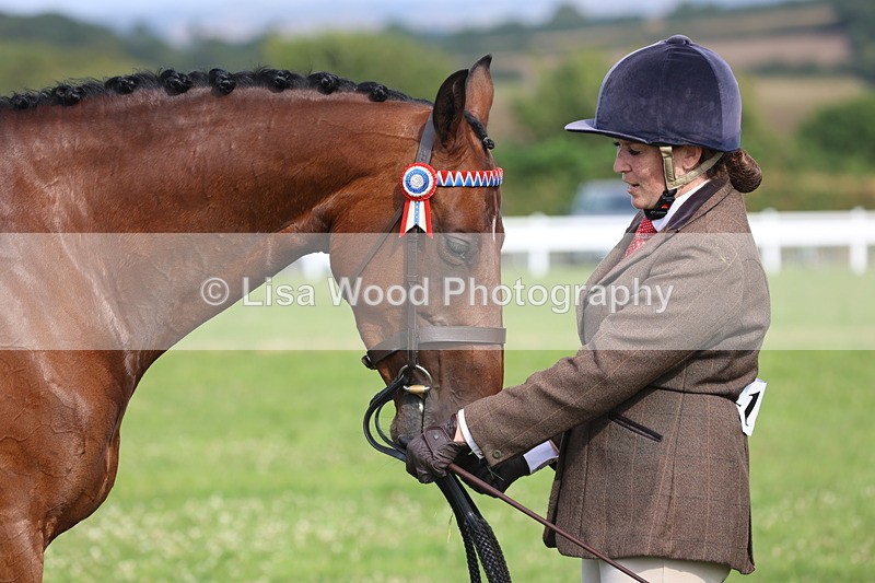 JPP_4314 - Class 25: Working Show Horse
