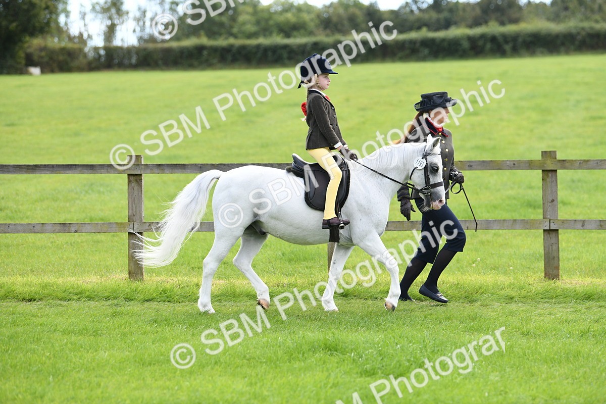 SBM_42446 - S20 - Lead Rein Mountain & Moorland Pony