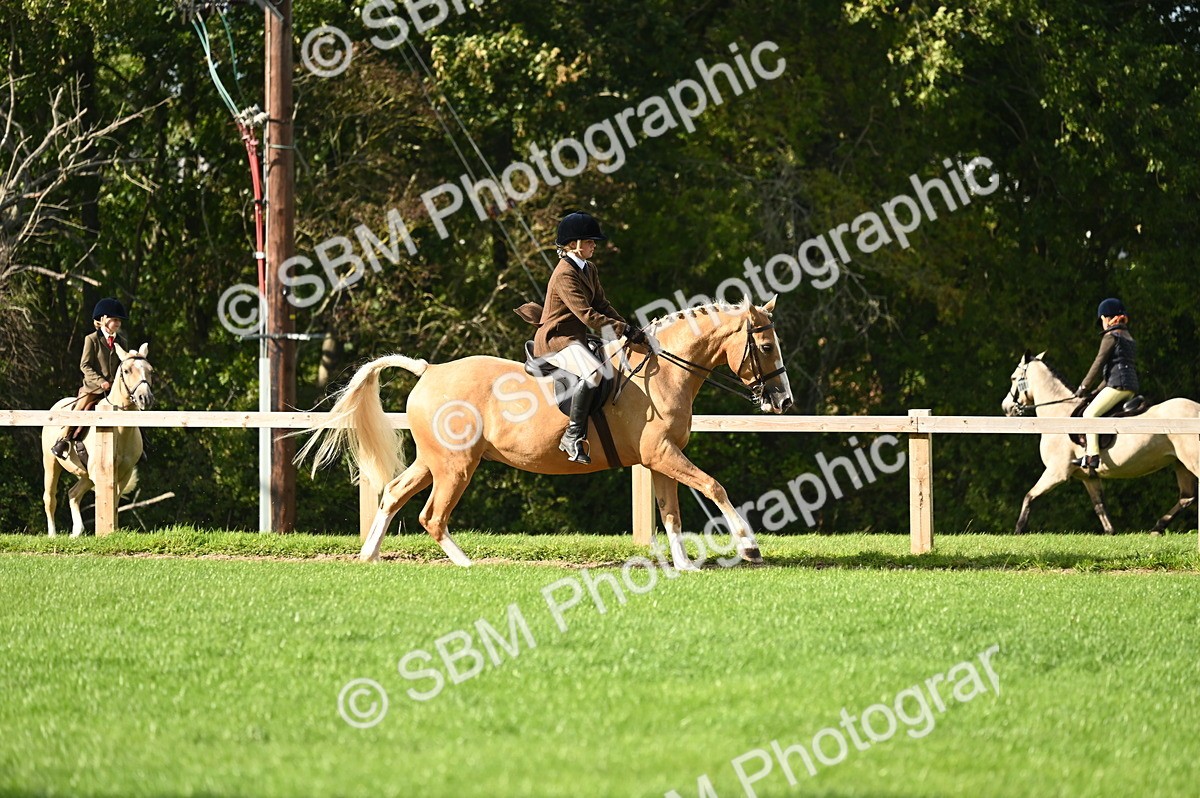 SBM_26415 - S6 - Novice & newcomer Ridden horse