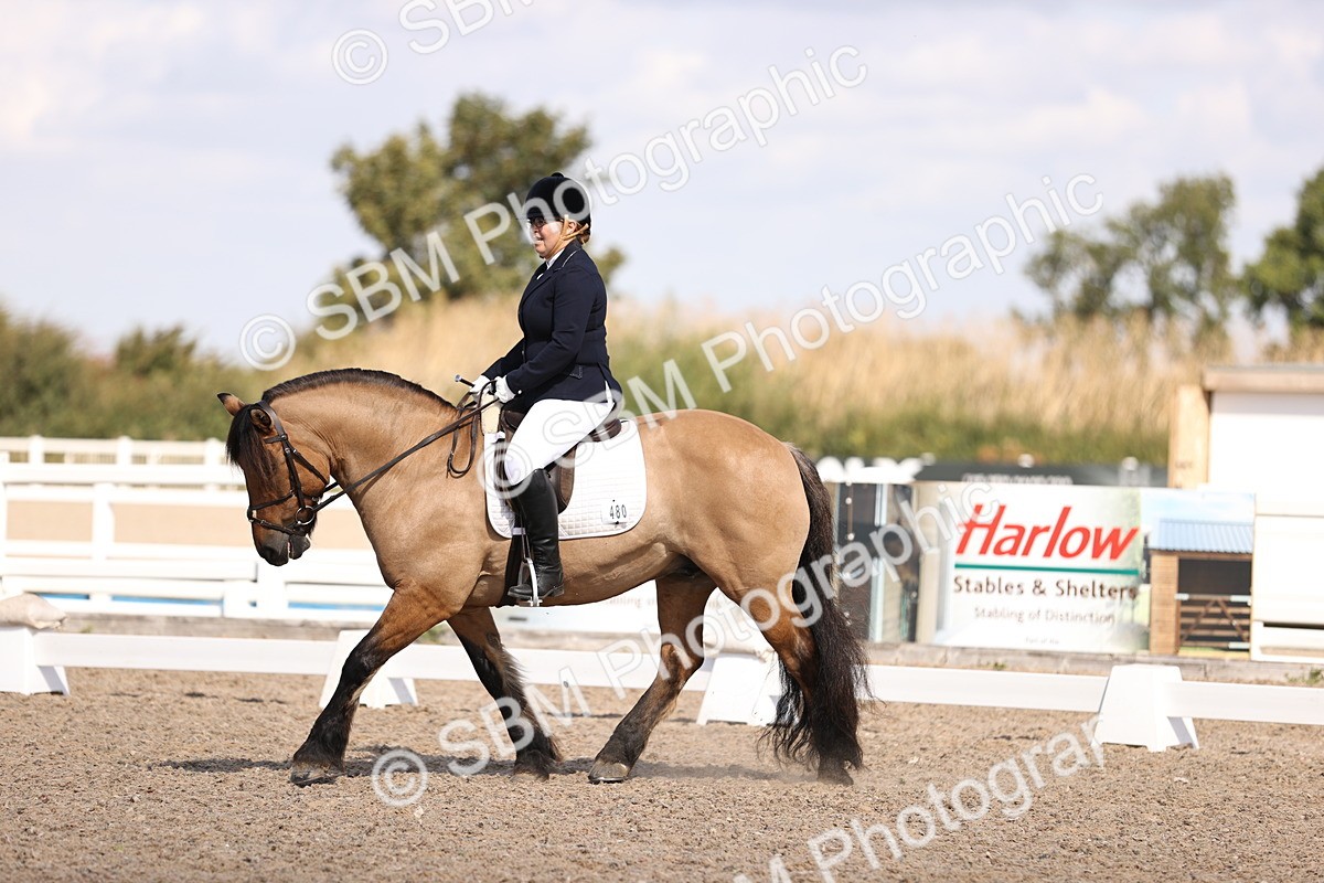 SBM_03597 - CLass 35 Intro 3