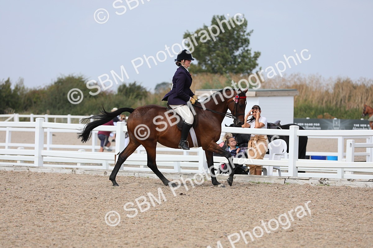 SBM_15609 - Class 311 Ridden Show Pony/ Show Hunter Pony