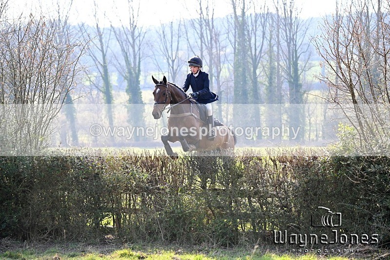 WJ6_9838 - Edited examples