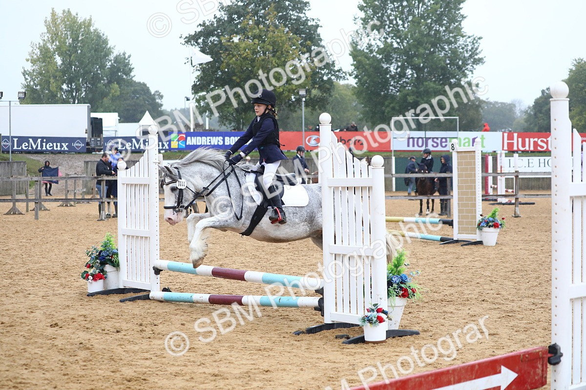 SBM_71692 - J4 - Mini Tour Junior Pony 45cm Championship