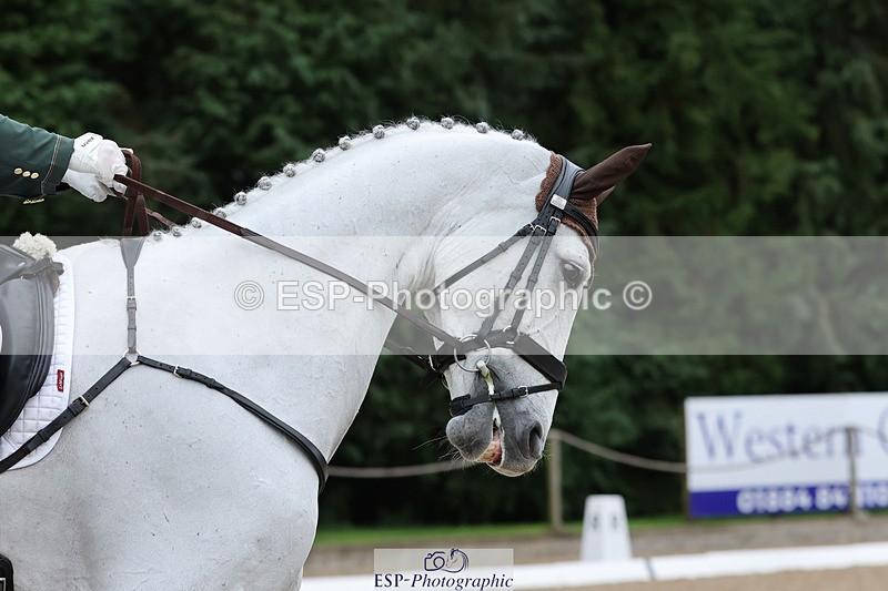 241024-135519-03970 - 223-Susie.Berry-LIBERTY.26