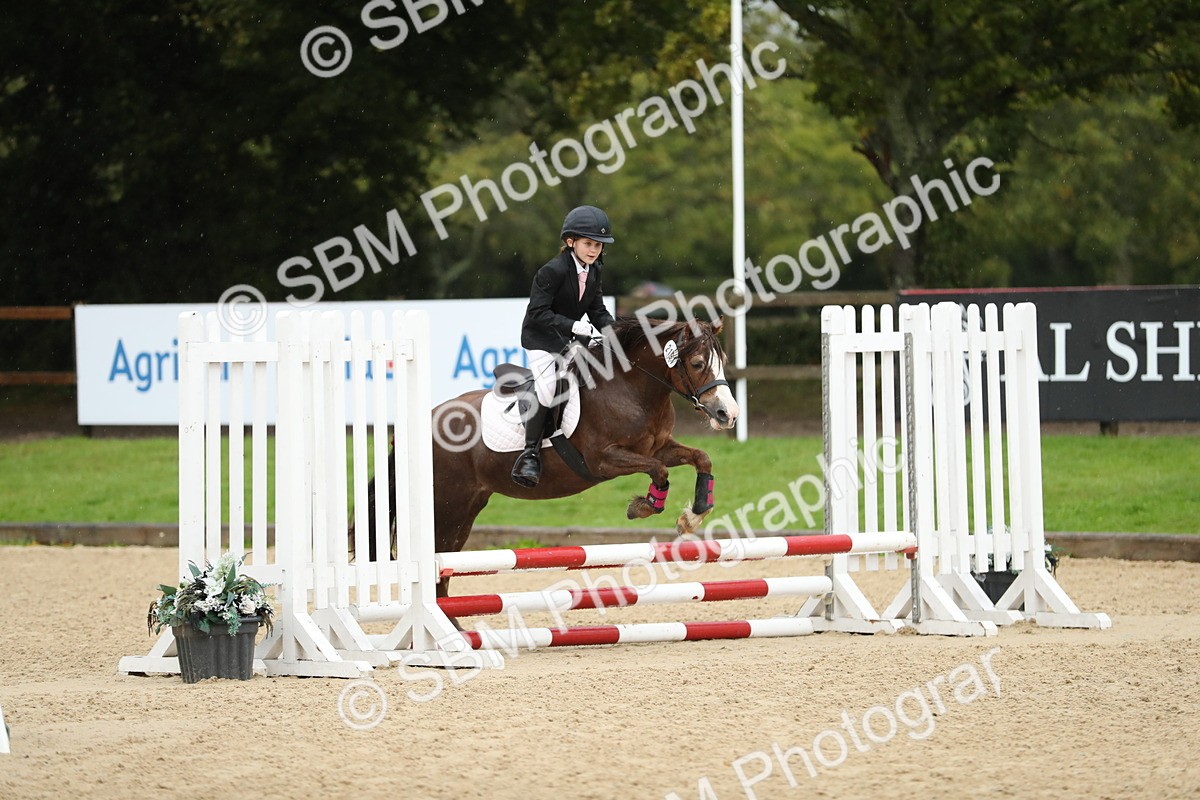 SBM_34380 - J60 Clear Round 50cm