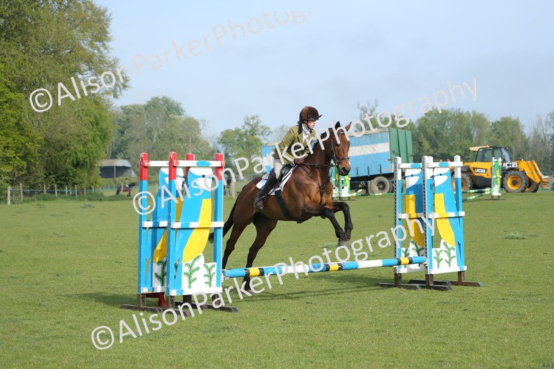 20260426-0079 - Class 13 - Rookie Jumping 50cm