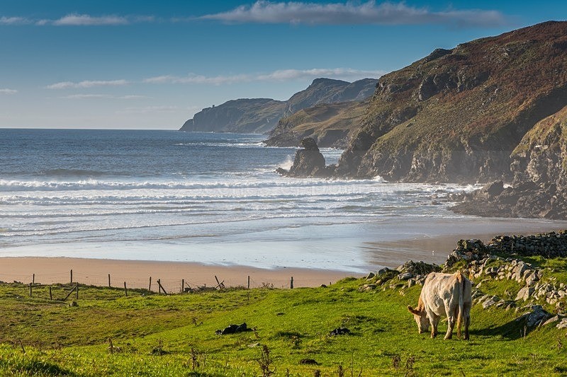 _DSC8034 - Muckross Head