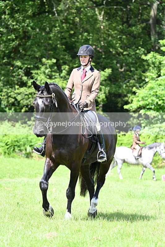 WJ7_1098 - Class 11 Condition & Turnout