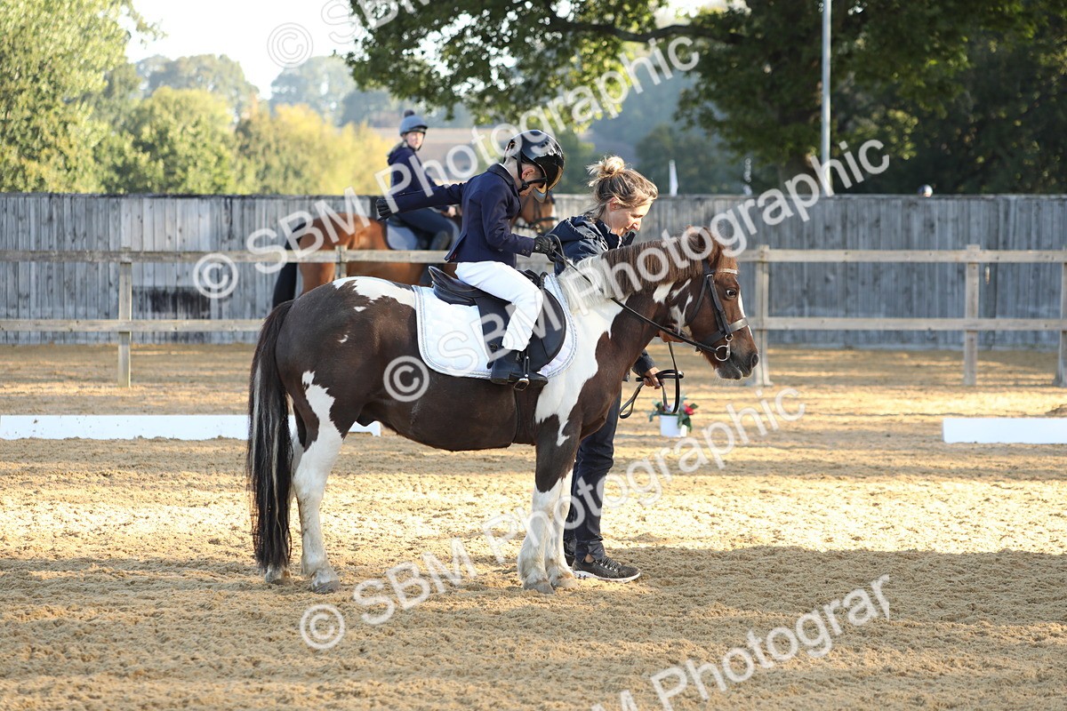 SBM_33705 - D26 - Starers - Lead Rein