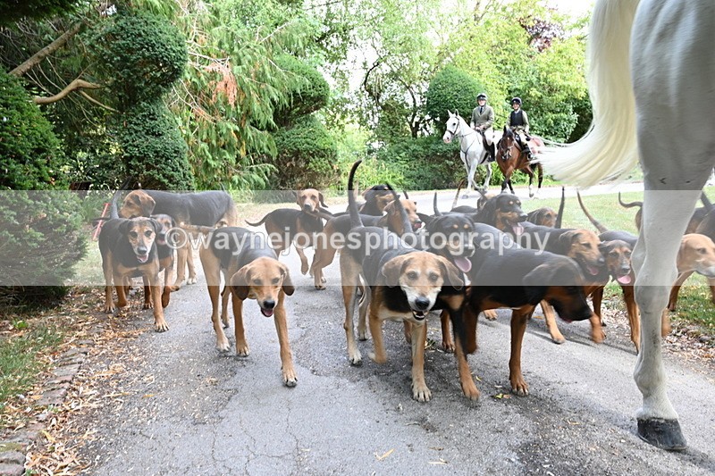 WJ6_3957 - Berks & Bucks - The Old farmhouse - Hound Exercise 20-08-25