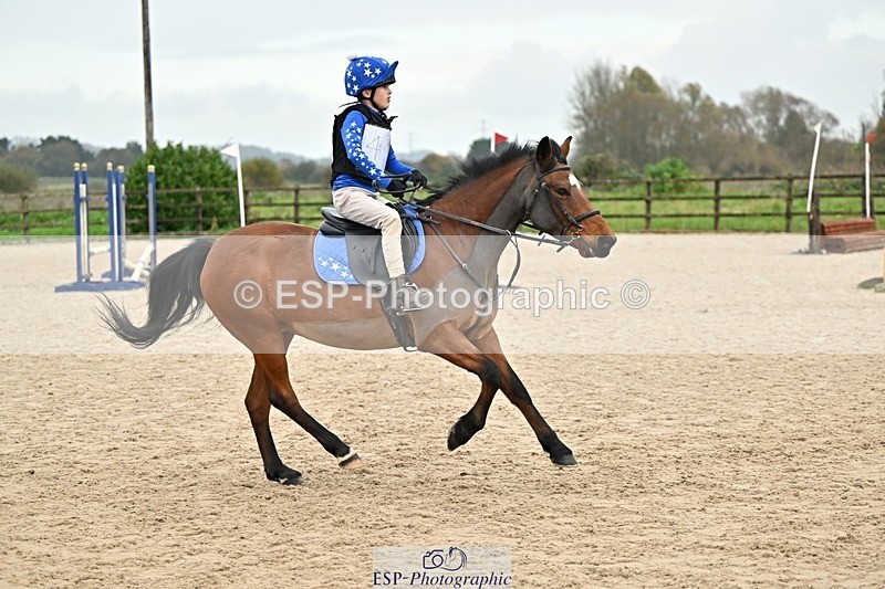 241110-141509-01069 - 60-65cm Arena Eventing