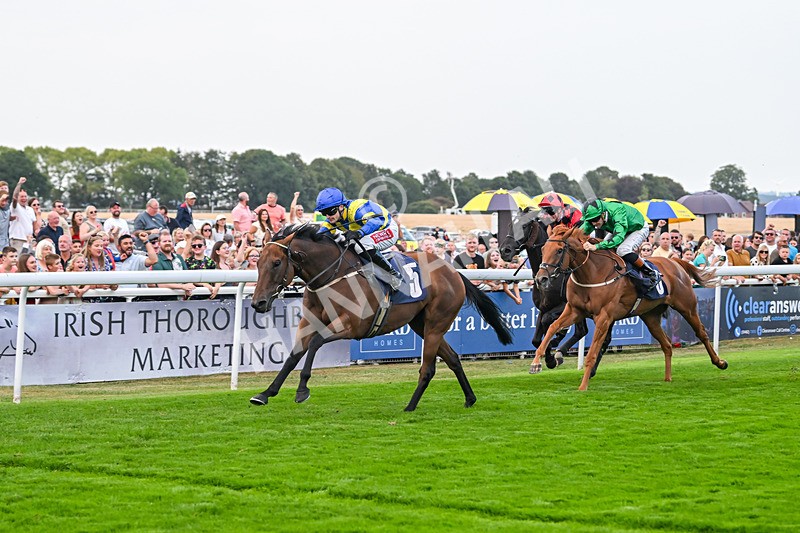 240825-Race 6-Dr Rio-3858 - Race 6