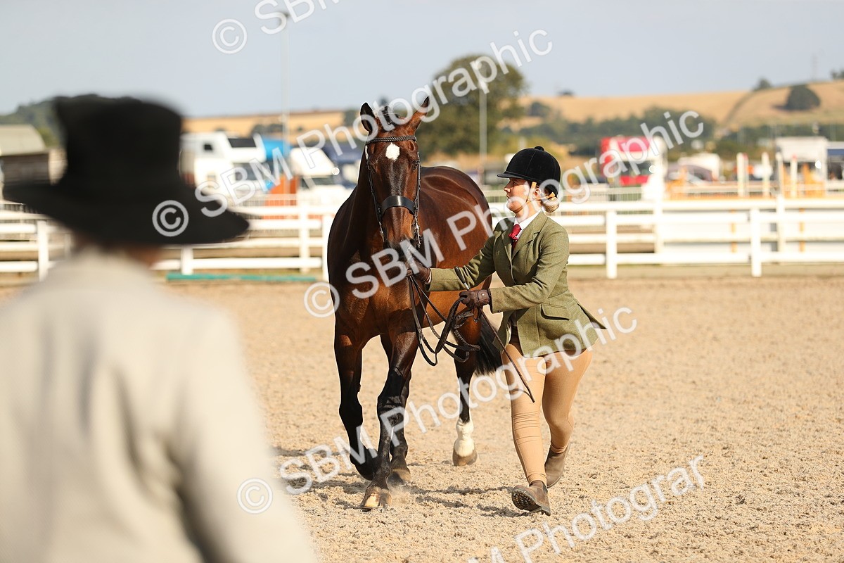 SBM_08591 - Class 28 - IH Veteran Horse