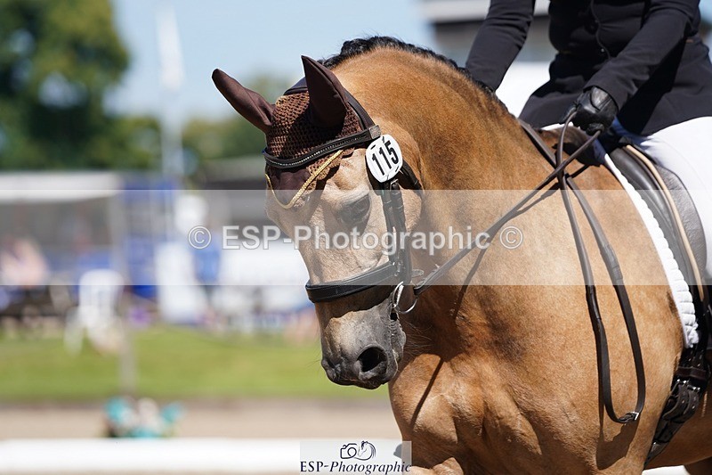 240719-110612-00990 - 115-Georgia_Ryder-Dylasau_Zennor