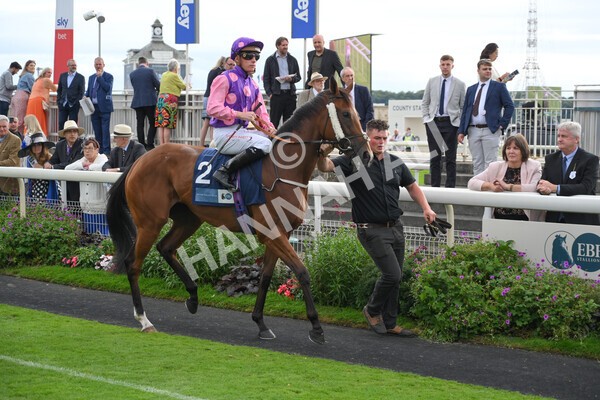 yr19082021r7-6 - Race 7 5.20pm British Stallion Studs EBF Fillies' Stakes