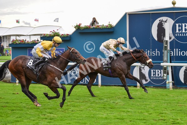 131023-Race 3-Apiarist-9421 - Race 3 3.15pm British EBF £100,000 Final