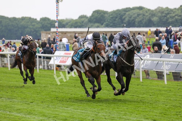 160524-Race 6-Andesite-1965 - Race 6 4.45pm Frank Whittle Partnership ebfstallions.com Novice Stakes