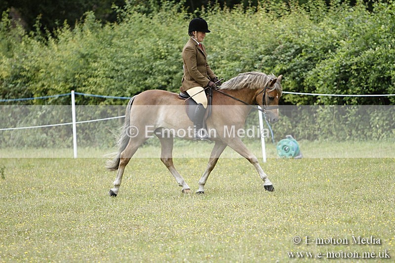 BVR160717-389 - Ring 3 BVRC Show 16/07/17