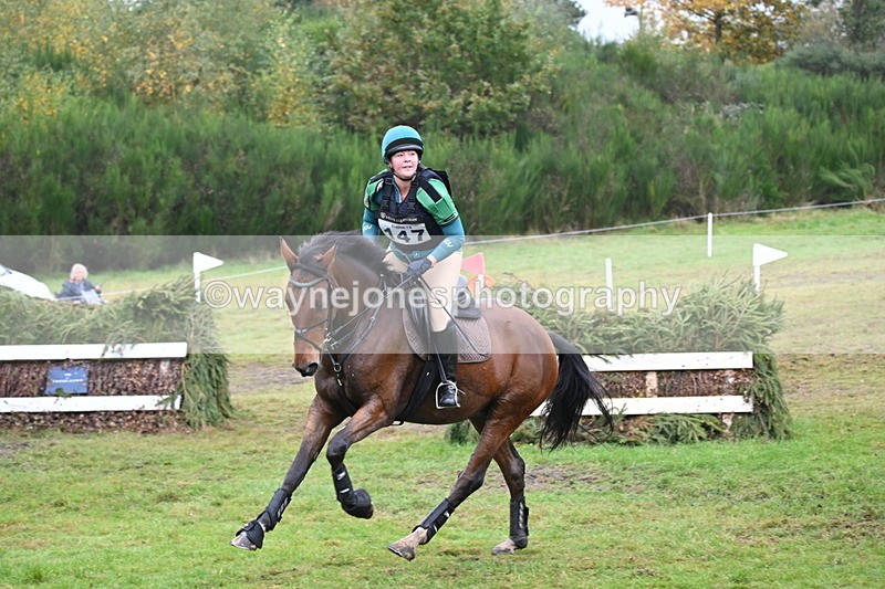 WJ6_2409 - 80cm Cam 1 Time 11:23 to 12:04