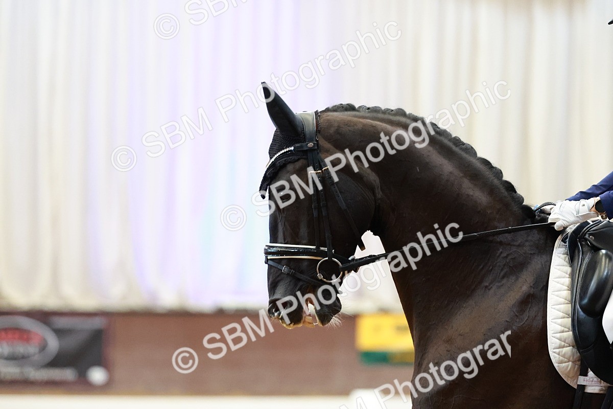 SBM_007875 - Class 9 - FEI INT II - 16.54.17.57