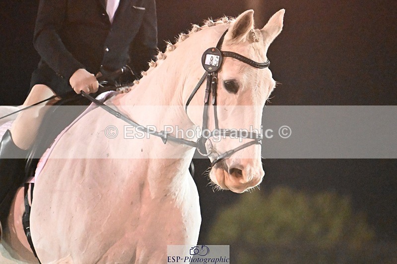 231105-173121-04709 - Cls 5 Novice 27 17.00 to End