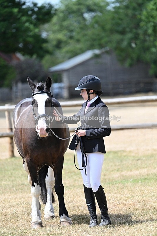 WJ7_1986 - Class 4a Prettiest Mare 14.2hh and over hand