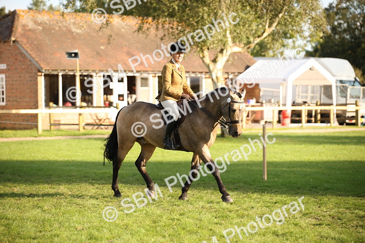 SBM_54384 - S27 - Mature Veteran - Ridden