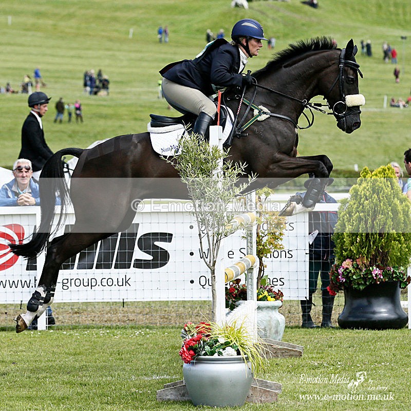 _LES2473a - Equestrian