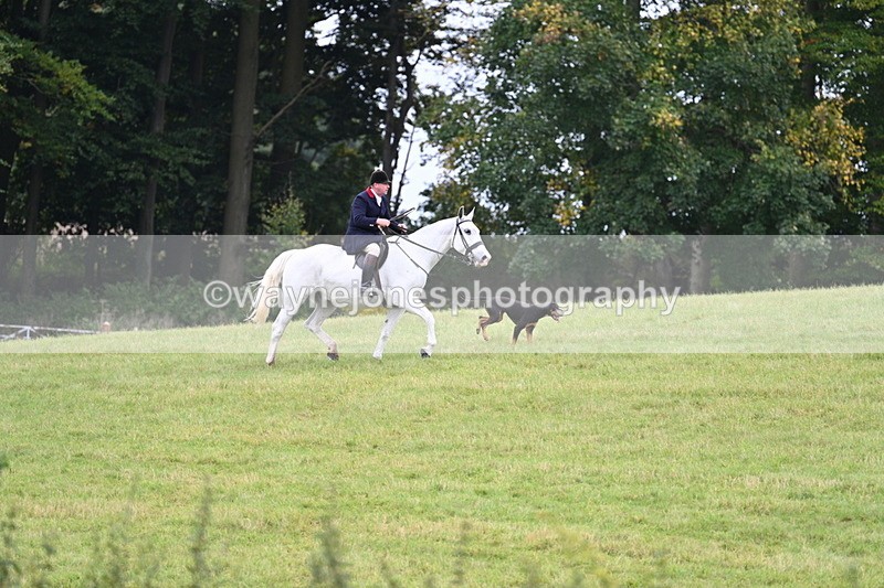 WJ7_4016 - Camera 1 Line 2