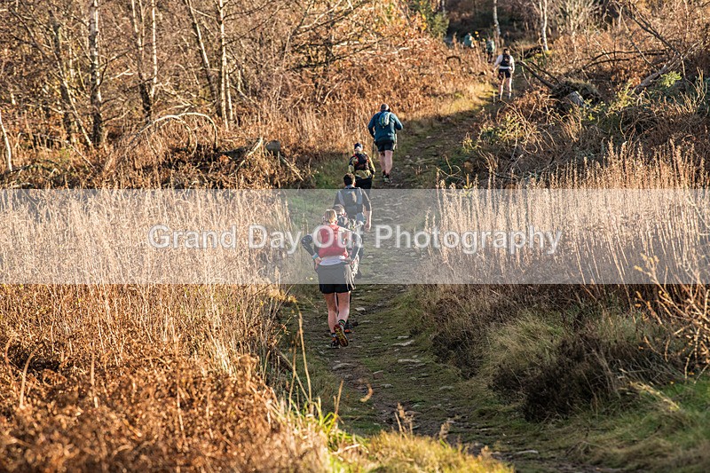 Tweed Valley-746 - High Terrain Events Tweed Valley 50 & 65K Ultra Trail Races Sunday 16th November 2025