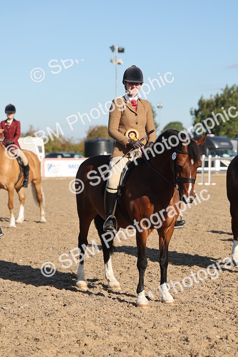 SBM_11127 - Class 302 - Ridden M&M Large Breeds
