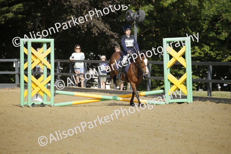 20250622-1362 - 40cm