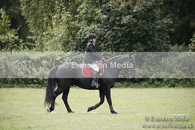 BVR080918 186 - BVRC Novice Dressage & CR 08/09/18