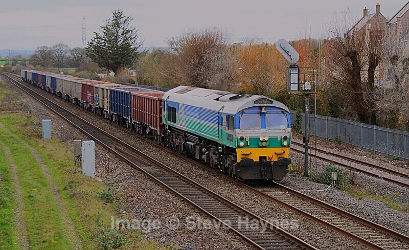 9th Dec 2024 - Norton Fitzwarren (nr. Taunton), Somerset