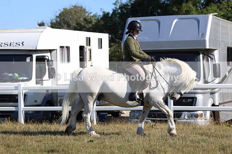 3E7A5387 - Class 2: Working Hunter 60cm