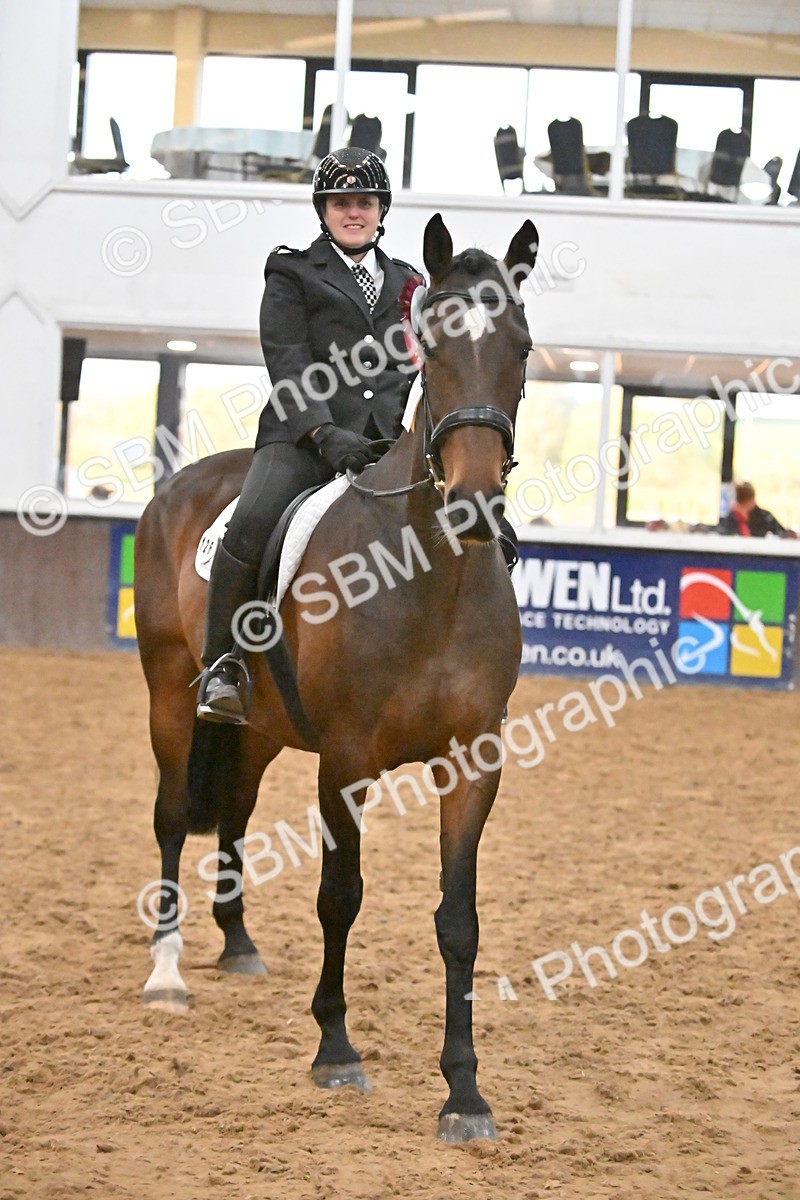 SBM_003028 - Class 37,38 - UKPSAF Performance Horse & Pony