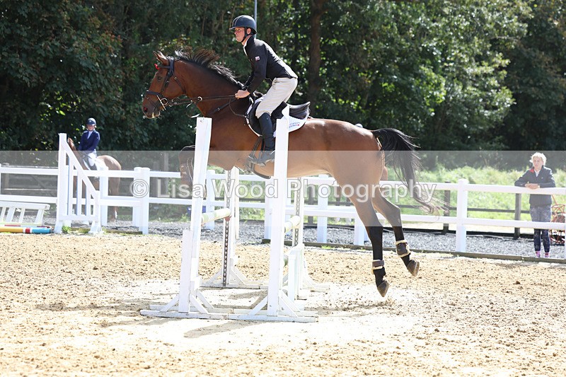 3E7A9310 - Class 9: Senior British Novice/90cm open