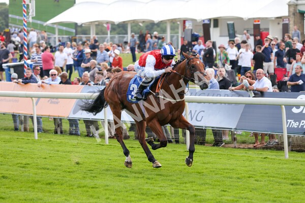 yr10062022r2-16 - Race 2 2.30pm SKF Rous Selling Stakes