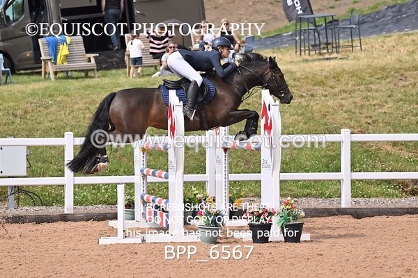 BPP_6567 - SUN CLASS 52 HOYS Pony Foxhunter Second Round
