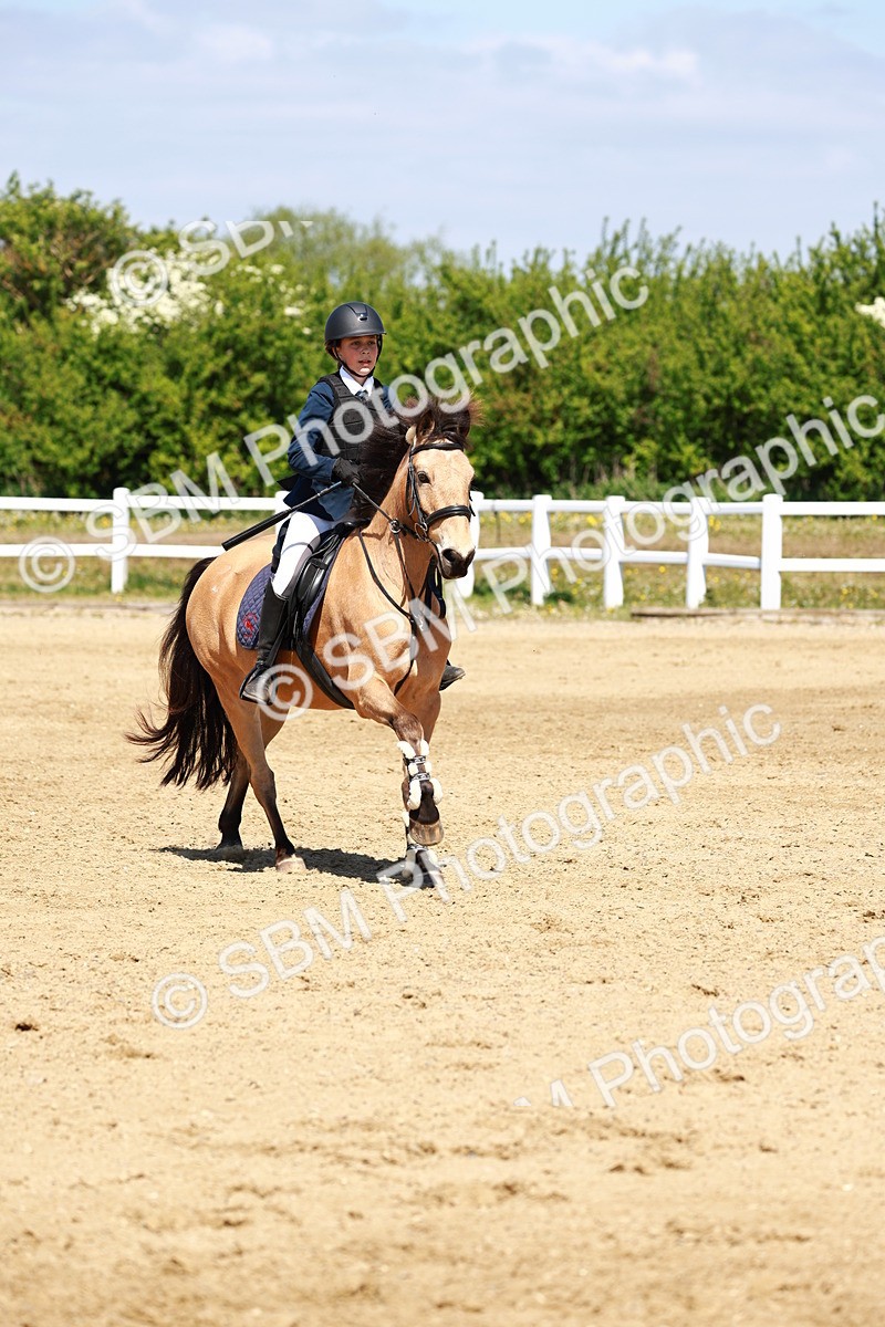 SBM_007574 - Class 3 - 60cm