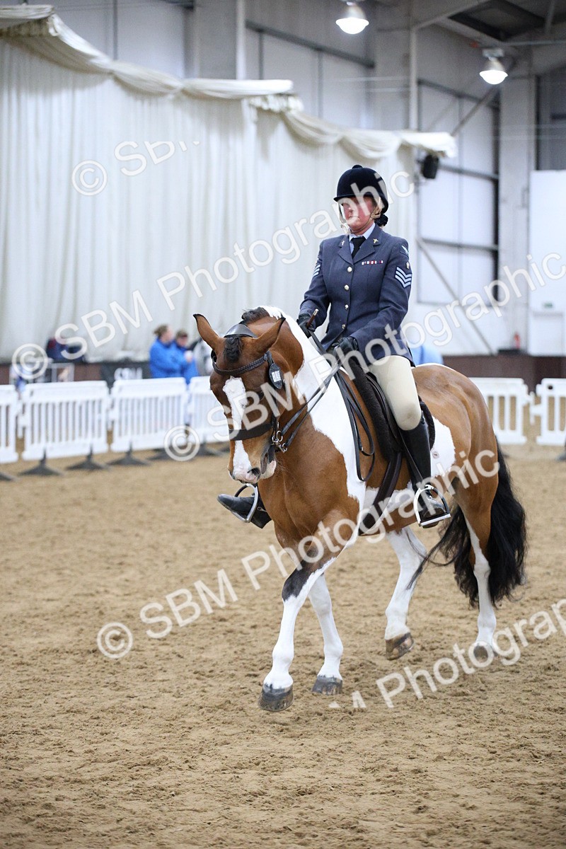 5K7A6107 - Class 48 - Ridden Mare
